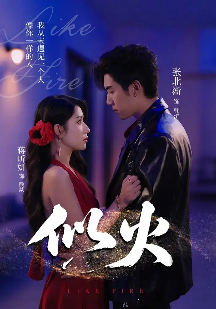 似火（80集）张北淅&蒋昕妍&金穗&咸俊旭海报