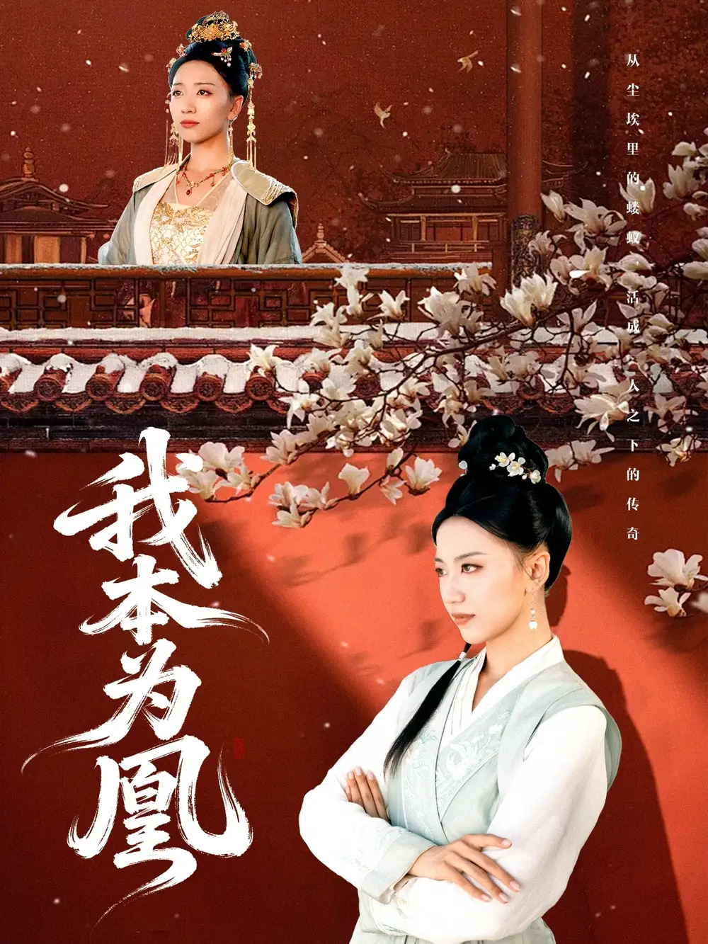 短剧《我本为凰》全集免费在线观看已完结