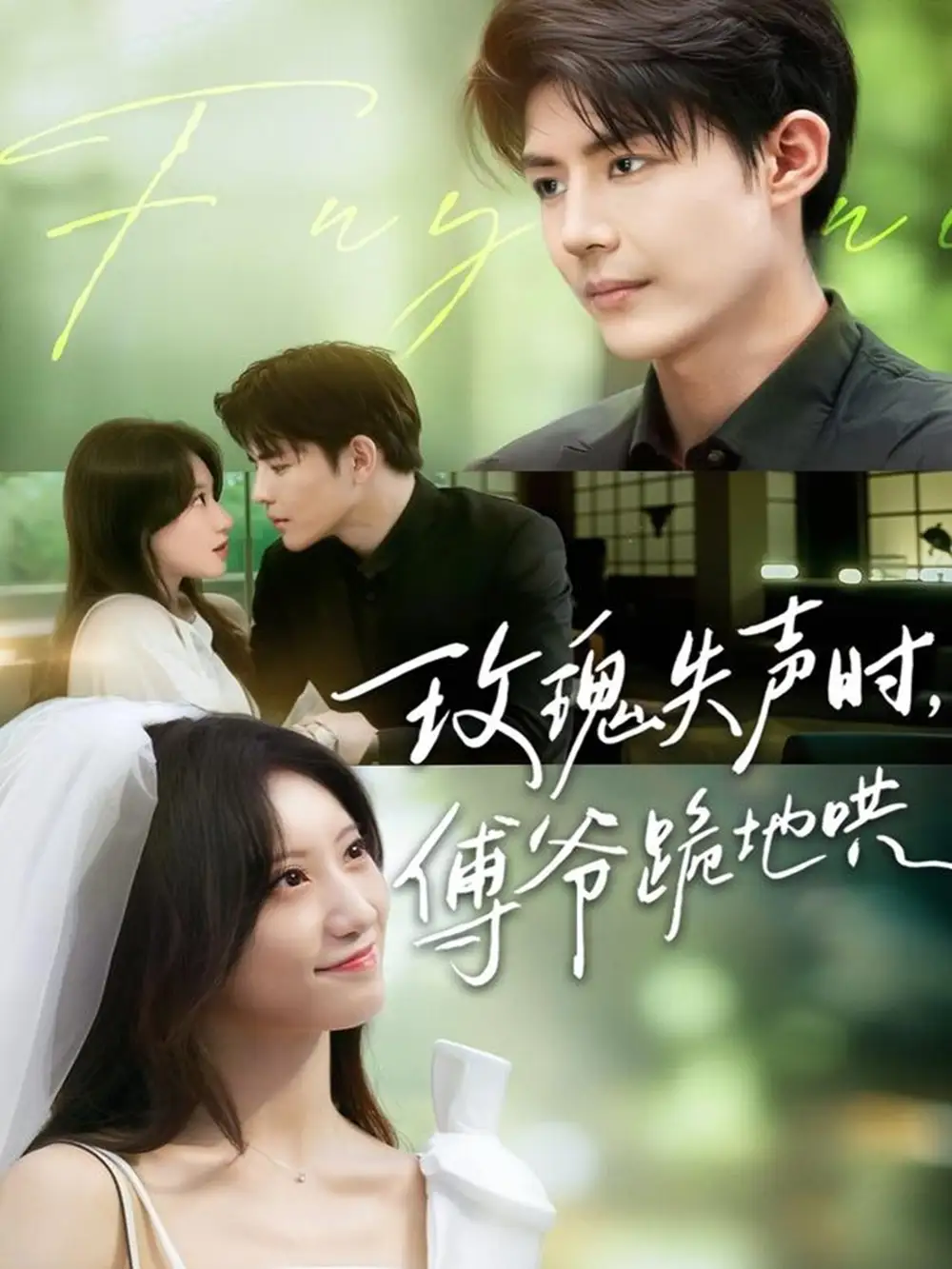 短剧《玫瑰失声时傅爷跪地哄》全集免费在线观看已完结