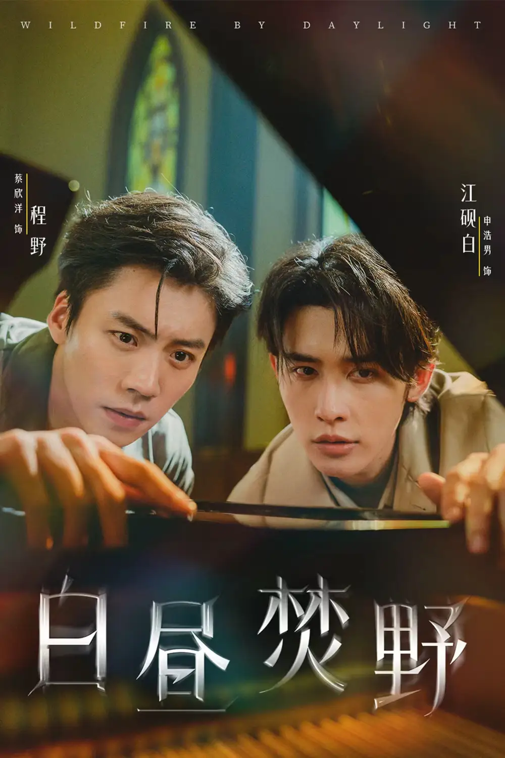 短剧《白昼焚野》全集免费在线观看已完结