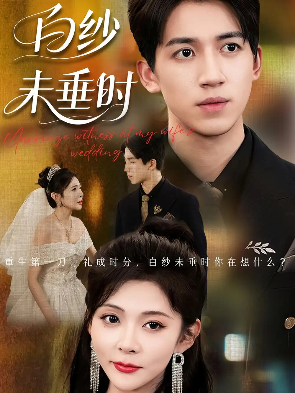 短剧《老婆婚礼我当证婚人&白纱未垂时》全集免费在线观看已完结