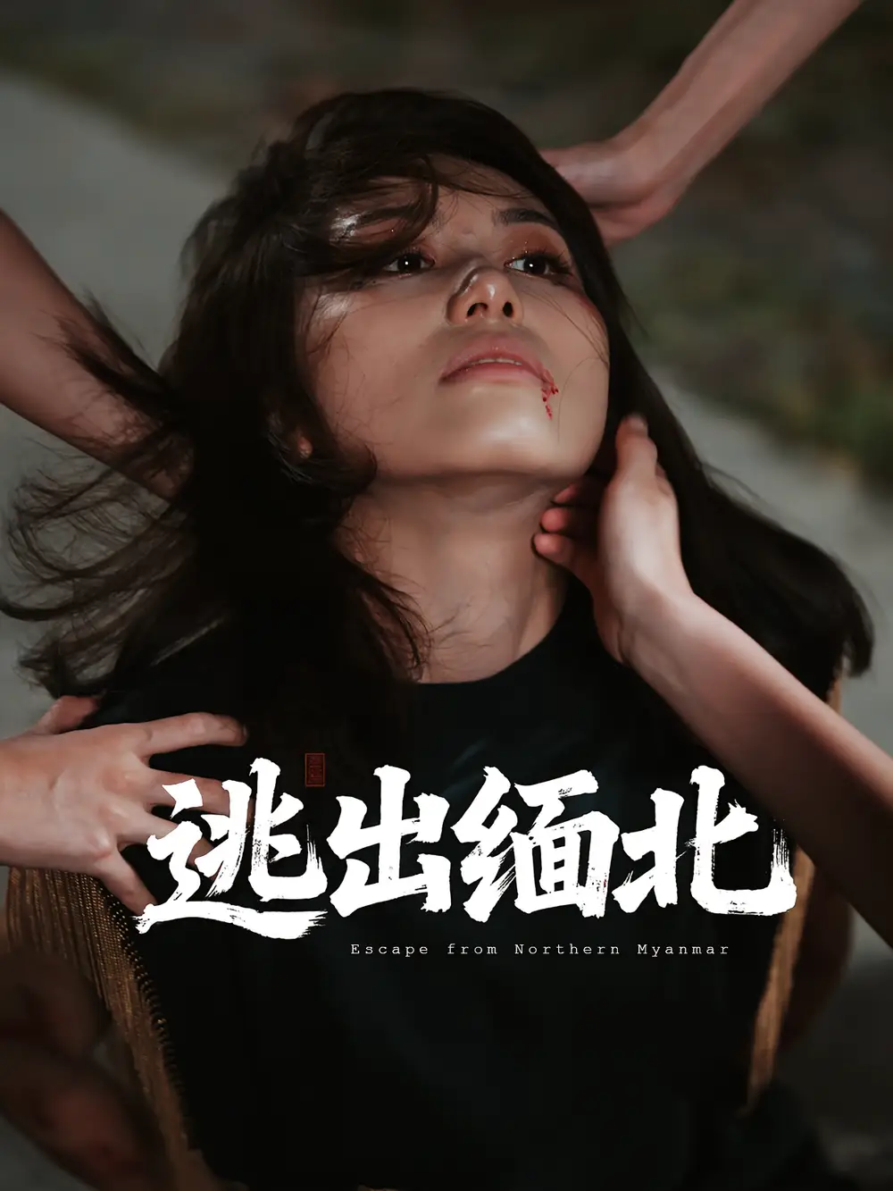 短剧《逃出缅北》全集免费在线观看已完结