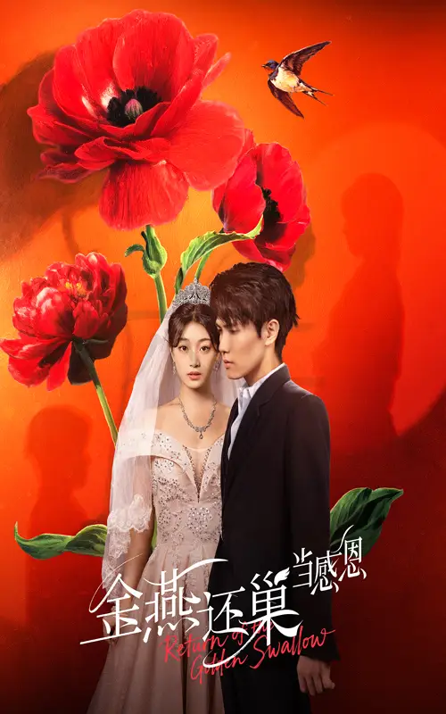 短剧《金燕还巢当感恩》全集免费在线观看已完结