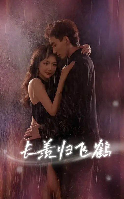 短剧《长羡归飞鹤》全集免费在线观看已完结