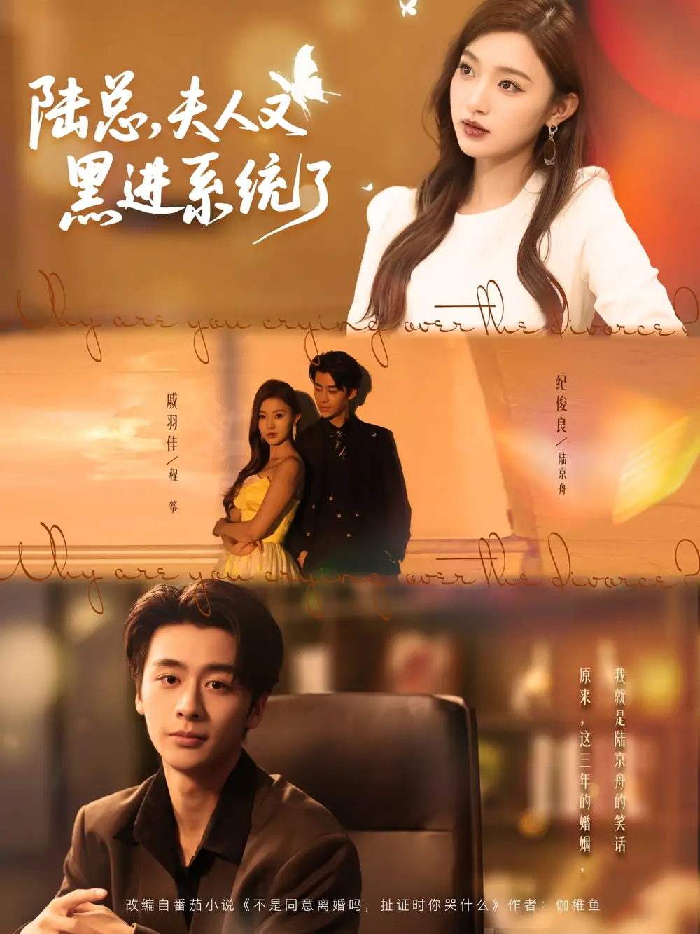 陆总夫人又黑进系统了(81集)纪俊良&戚羽佳高清海报图片 陆总夫人又黑进系统了(81集)纪俊良&戚羽佳海报