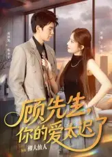 短剧《顾先生你的爱太迟了》全集免费在线观看已完结