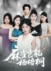 麻雀岂能栖梧桐(31集)高清海报图片 麻雀岂能栖梧桐(31集)海报