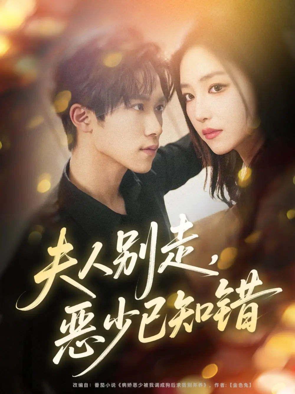 短剧《夫人别走恶少已知错》高清全集免费在线观看