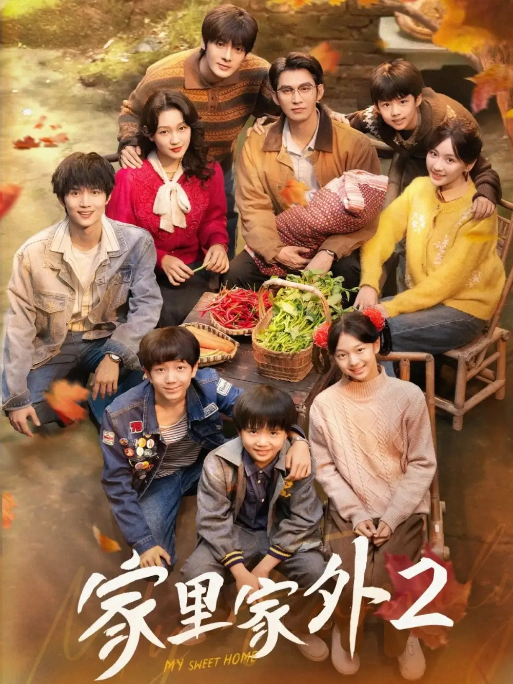 短剧《家里家外2》高清全集免费在线观看