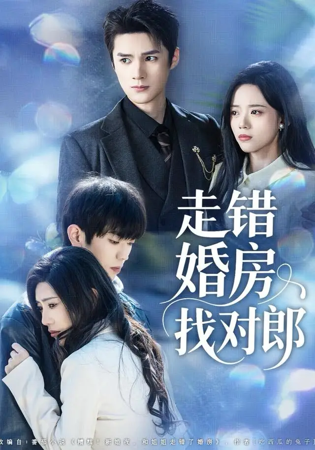 短剧《走错婚房找对郎》高清全集免费在线观看